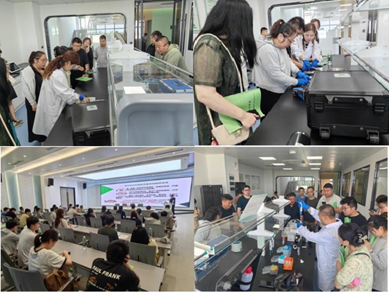矿业资讯聚焦新余矿业:探析行业发展新动态